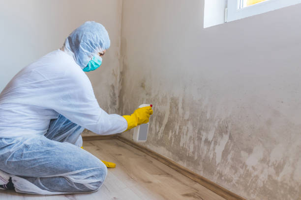 Mold Remediation specialist working in Glenside